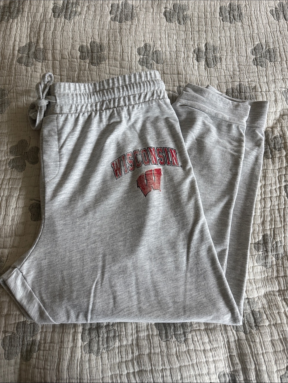 Wisconsin Badgers sweatpants